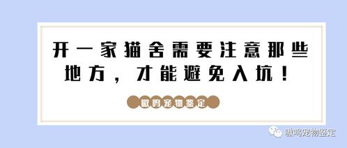 2020年开猫舍还能赚钱吗 需要注意哪些地方才能避免入坑,