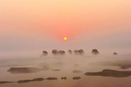 湖南旅游预约公众号(湖南长沙橘子洲怎么预约)