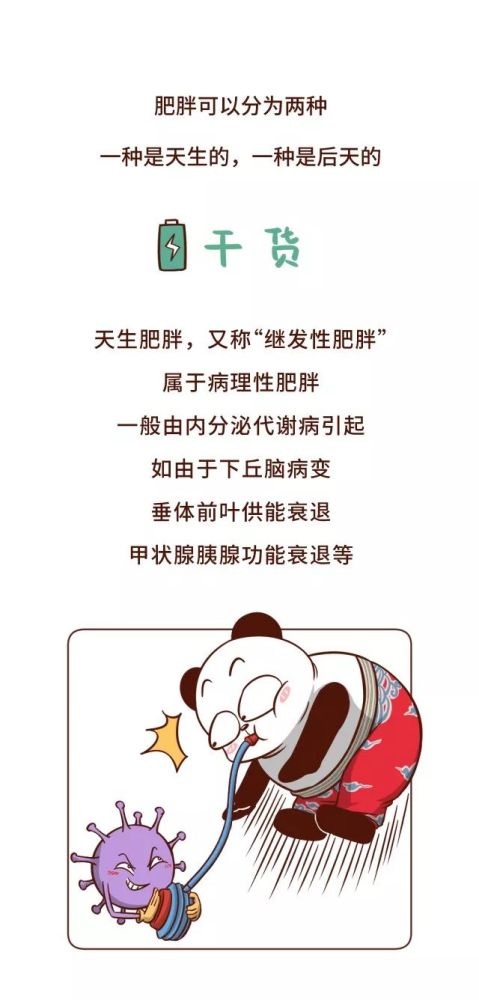 一张图,秒测你是易瘦体质还是易胖体质 