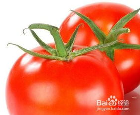 番茄和番茄哪个正确 怎么区分西红柿和番茄