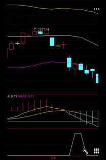 请问股票公式编辑,如何在macd上标注