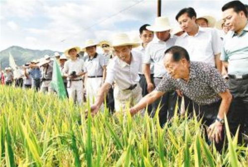 杂交水稻之父 袁隆平,有3个儿子,他们如今现状如何