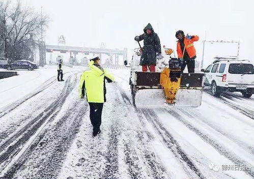 刷屏了 今天的雪惊艳了德州人的朋友圈 刚刚发布,暴雪蓝色预警 本周还有一场