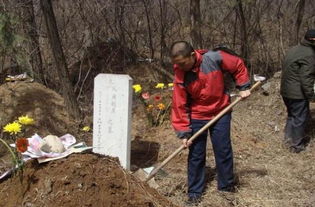 清明节还没到,为啥很多农民都提前返乡扫墓祭祖了 老农说出真相