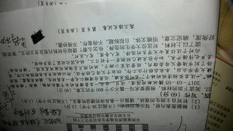 作文题,可以写坚持初心,走自己的路让别人说去吗 