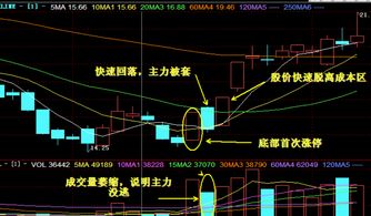 是不是有些股票不到11点就收盘