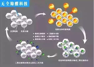 重磅 这个东西攻克 甲醛超标 难题,24小时除醛率93.1 ,一次治理保3年