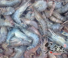 武汉每天至少千斤死虾流入市场 