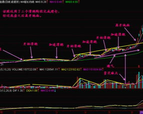 炒股入门知识网