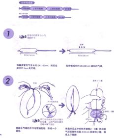 长气球编蝴蝶步骤图片 别针式样吉祥蝴蝶制作教程