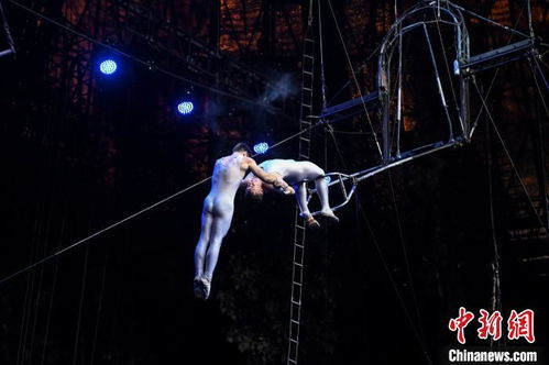 国际演员打造15年经典马戏节目成广州夜名片 