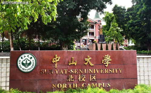 深圳特色大学有哪些