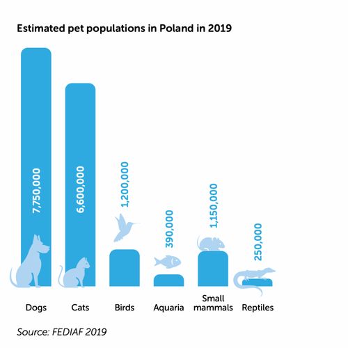 研报笔记 2020年波兰宠物市场,有哪些趋势值得关注