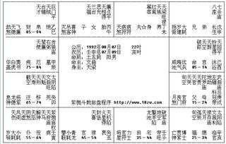 请帮我解读一下紫微斗数 