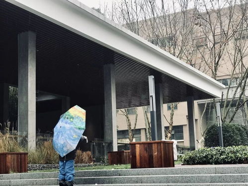 华中大新地标建筑 这个梧桐雨美翻了