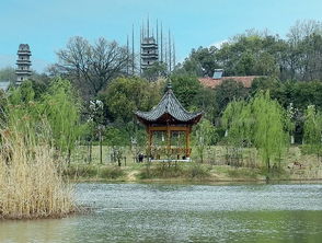 相看两不厌,只有敬亭山