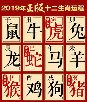 12生肖每日运势查询 12生肖2019年每月运势