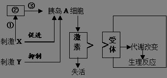 条件反射的泛化