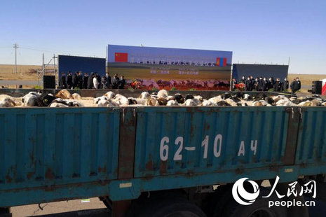 首批4000只蒙古捐赠羊经二连浩特口岸入境中国 