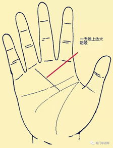 金星丘纹路好多网格纹