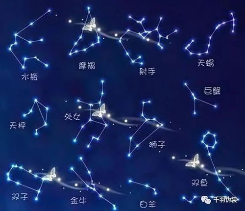 星座与性格有关系吗(星座与性格的关系)