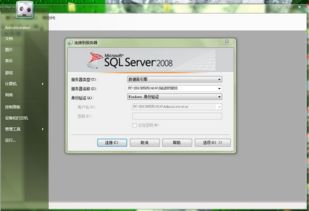 sql server 2008数据库属于什么类型