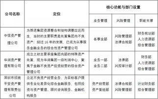 国有投资管理公司属于国有资产管理公司吗？