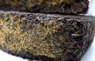 安化黑茶金花制作工艺,黑茶的金花是什么?