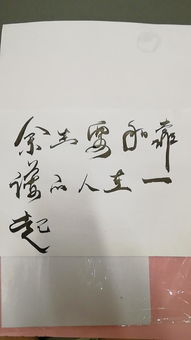 书法 这个字怎么样,能达到出售卖钱的程度吗,怎么卖,渠道在哪 