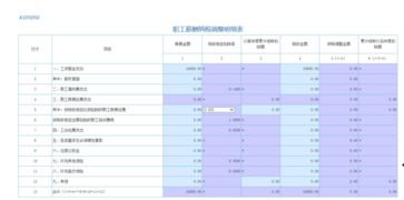 纳税调整项目明细表工资薪金怎么填