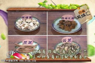 饮食养生汇视频20160618 张文彭介绍如何预防癌症 