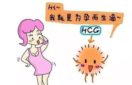 如何读懂HCG和孕酮,产检报告单你会看吗