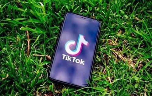 iphone如何下载tiktok_TikTok 商业 账号