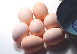 专家建议每天吃4个鸡蛋？有害健康吗(专家建议每天吃4个鸡蛋?有害健康吗英语)