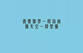 经历沧桑励志句子短句  历尽沧桑欲何求经典语录？