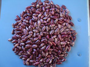低价批发 紫花芸豆