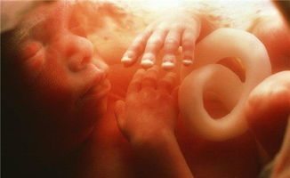 原创原来孕期同房时，胎儿心里可能是这种“感想”，看完差点笑出声