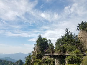 这两座山都是5A景区,河南山水的代表,你更喜欢哪个