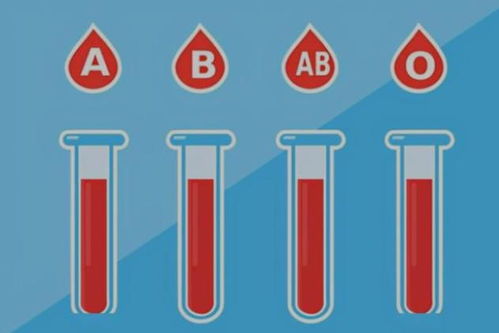 A型 B型 AB型 O型,哪种血型的人身体好 你是哪一种血型