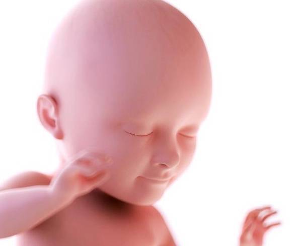 原创怀胎十月，胎儿除了吃和睡，还有这3件“正经事”要做，好可爱！