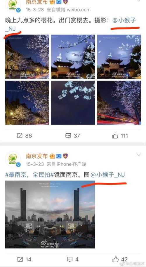 在关注南京玄奘寺时,别忘了那网名叫小猴子的网友