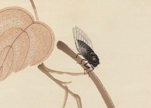 关于蝉的诗句及意思是什么意思是什么