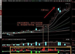 如何理解股票市场的机构席位？如何洞察机构席位的动向？同花顺这样的软件可以查询吗？