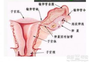 揭秘附件炎给女性带来的四大伤害