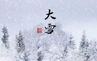 大雪的句子唯美短句