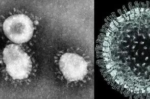 新型冠状病毒的症状有哪些