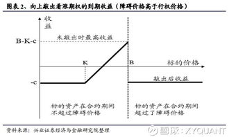 谁知道期权障碍是什么意思？