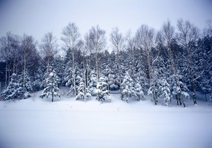 相机雪景照片怎么弄好看 相机雪景照片怎么弄好看一点