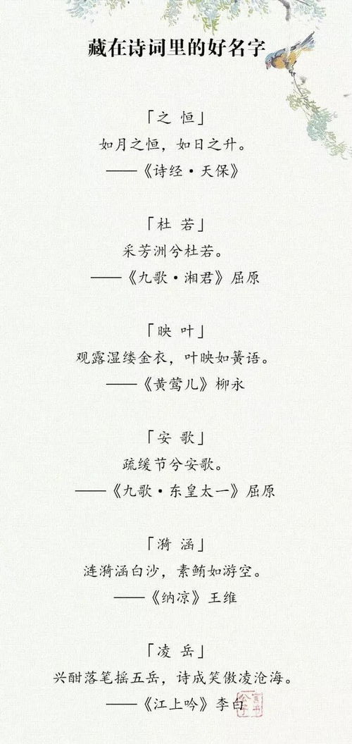 百度给狗年的宝宝取名,狗年宝宝取什么名字