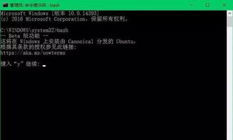 win10自带linux系统安装本地应用